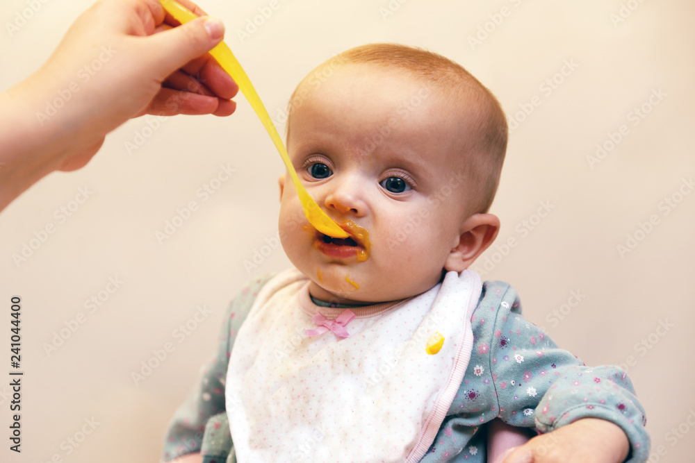 Adult Feeding Baby - Stock Image / Baby, Eating, spoon, Human Hand, One Parent