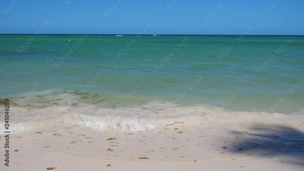 Tropical beach with shadow of coconut palm tree casting on sand. Caribbean destination Tropical beach with shadow of coconut palm tree casting on sand. Caribbean destination
