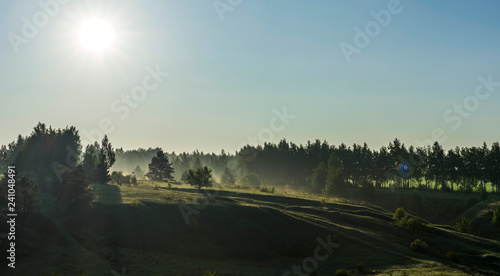 Landscape, spring morning, fog in the meadow
