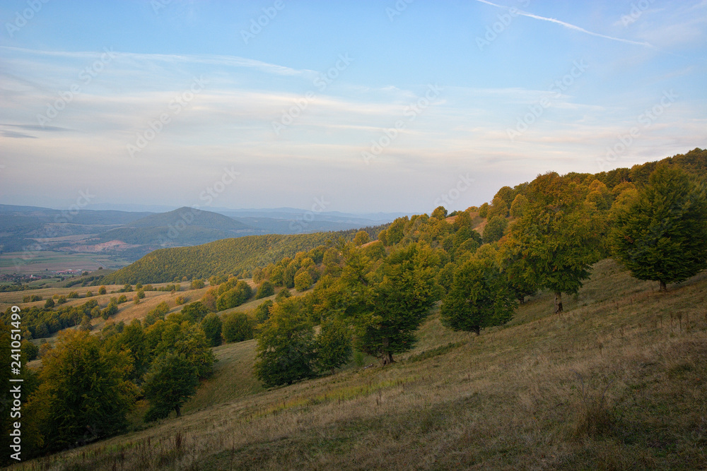 Fototapeta premium autumn landscape in the mountains with trees