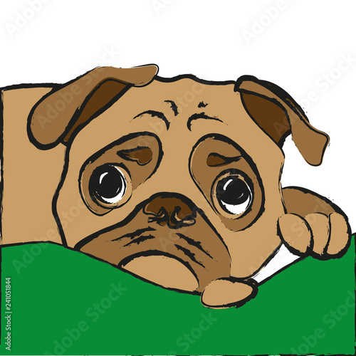 PERRO TRIZTE