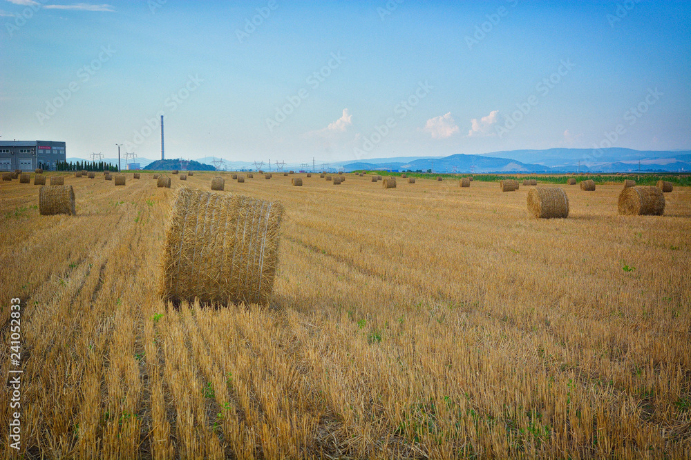 Pile of haystacks on the harvested paddy field with cloudy sky background