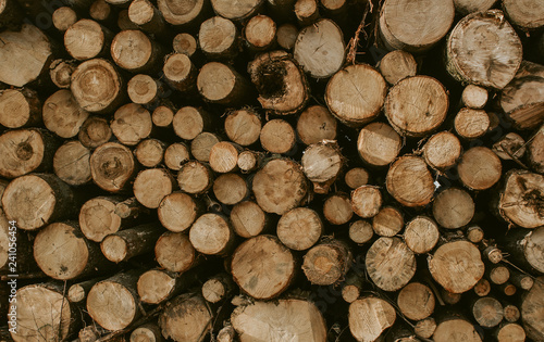 Wooden logs. Background