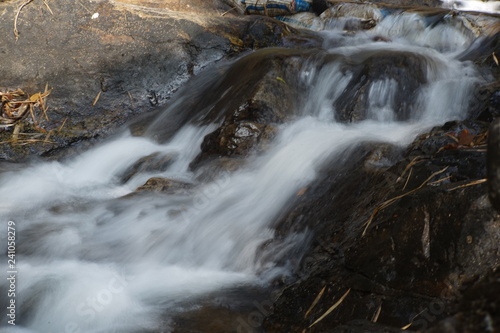 waterfall in forest