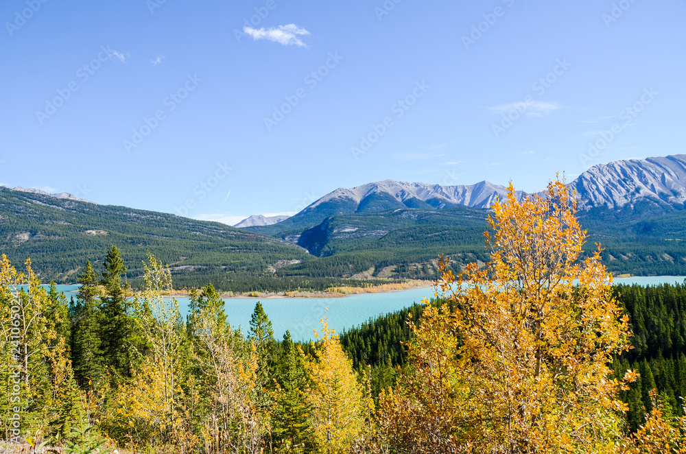 秋のカナディアンロッキー　黄葉のアブラハム湖（カナダ・アルバータ州）
