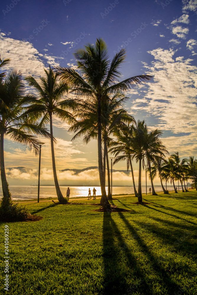 Fototapeta premium Esplanade exercise on a tropical day dawning.