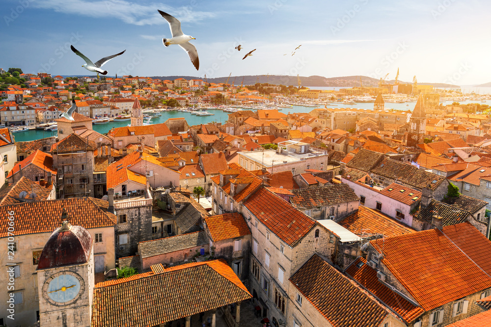 Fototapeta premium View at town Trogir, old touristic place in Croatia Europe with seagull's flying over city. Trogir town coastal view. Magnificent Trogir, Croatia. Sunny old Venetian town, Dalmatian Coast in Croatia.