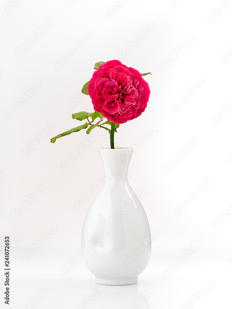 Fototapeta premium Beautiful red roses in white vase on white