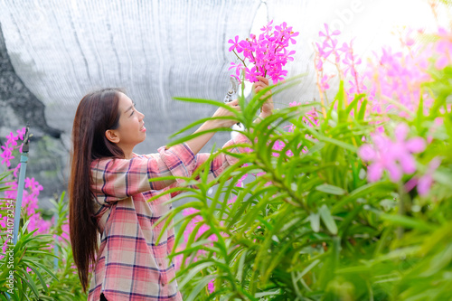 Women cutting pink orchids in the garden for sale