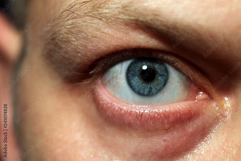 Human blue eye. Human blue eye.