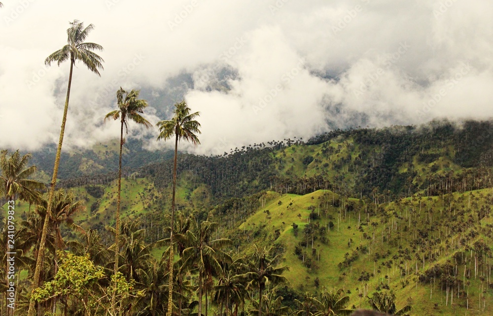 Quimbio Colombia Quimbio Colombia