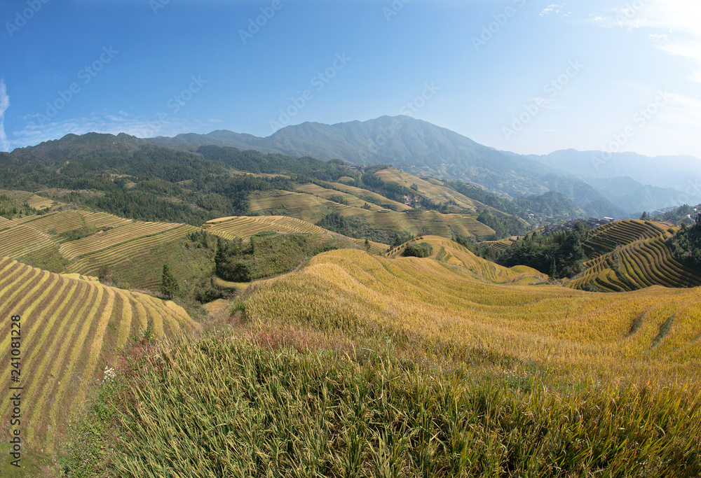 A scenic view of Dragon's Backbone Rice Terraces, Longsheng, Guangxi, Dazhai Village Long Sheng, Guilin (prefecture), China. The Dragon's Backbone Rice Terraces is a beautiful natural picture.