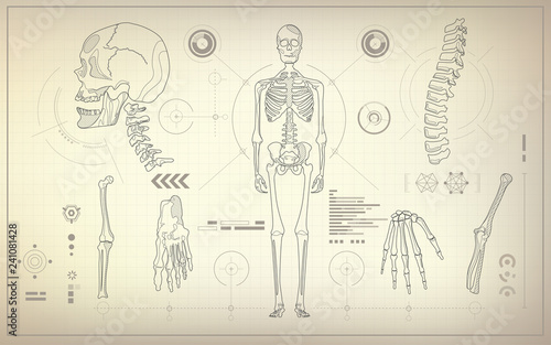concept of health care technology, parts of skeleton in anatomical science