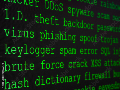 Hacker's dictionary displayed on the computer screen