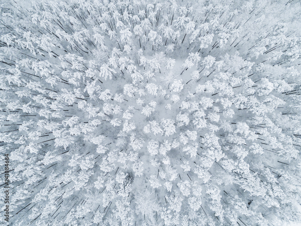 Aerial view of a winter snow-covered pine forest. Winter forest texture. Aerial view. Aerial drone view of a winter landscape. Snow covered forest. Aerial photography