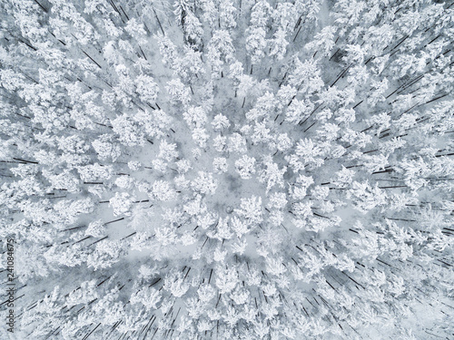 Aerial view of a winter snow-covered pine forest. Winter forest texture. Aerial view. Aerial drone view of a winter landscape. Snow covered forest. Aerial photography