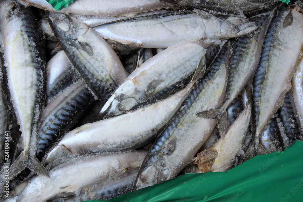 Fototapeta premium Frozen fish at the market. Frozen Mackerel