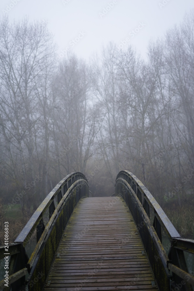 dia de niebla en el puente del bosque