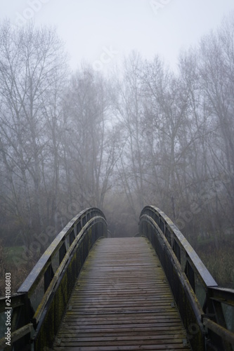 dia de niebla en el puente del bosque © miquel