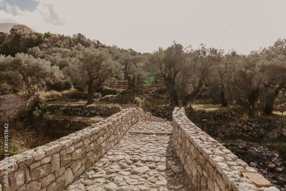 old stone bridge leading to the olive groveю