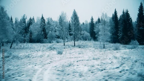 view of the winter forest from the window of a moving train