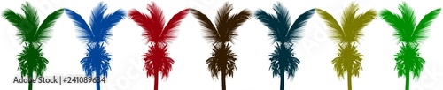 Photos frise de cocotiers, fond blanc