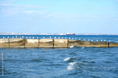 Wild white seagulls sits in a row on gray stone pier against deep blue sea with big frainght transport ships on the raid and coasyline at far on bright sunny day photo