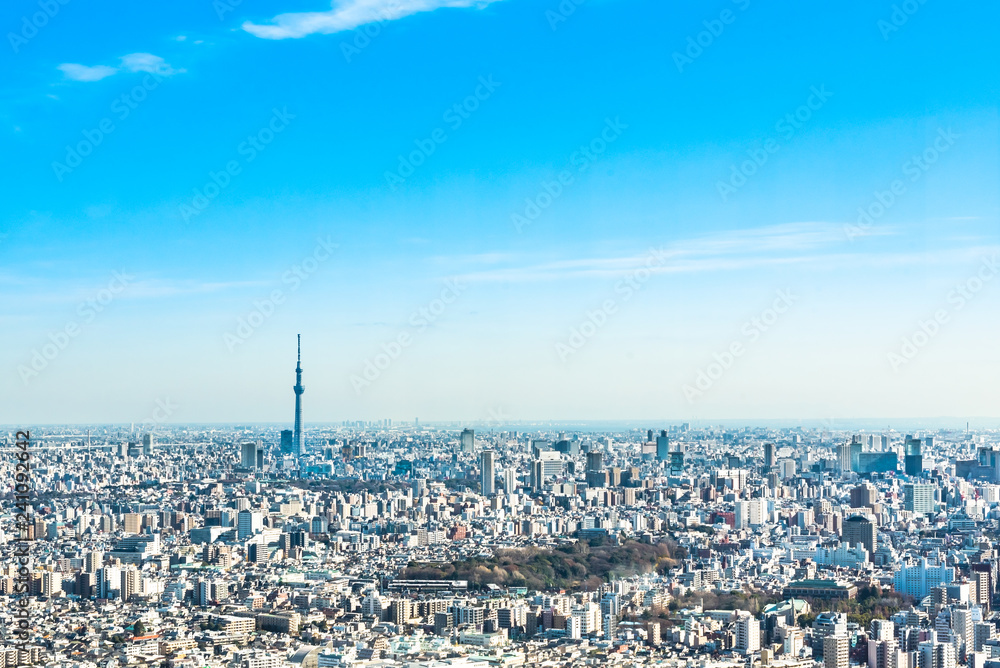 Fototapeta premium スカイツリーの見える東京の風景