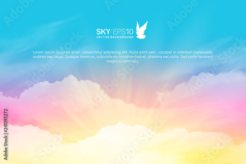 Horizontal vector background with realistic pink-blue sky and cumulus clouds. The image can be used to design a banner, flyer and postcard.