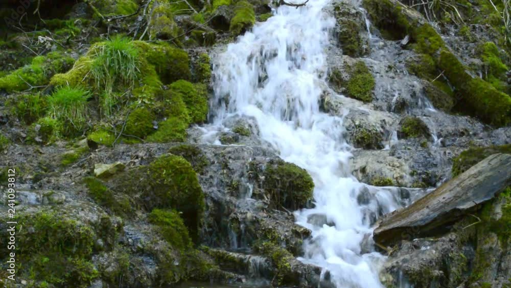 waterfall with sound and spring snowflake, early spring flower of Germany waterfall with sound and spring snowflake, early spring flower of Germany