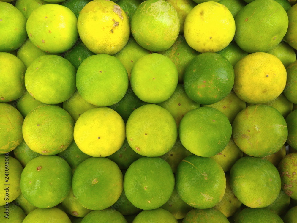 Fresh lime. Citrus fruit. Green limes background. Pile of Lime fruits Fresh lime. Citrus fruit. Green limes background. Pile of Lime fruits
