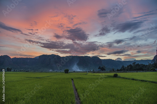 Beautiful sunset  above the rice fields in the Harau Valley in Indonesie