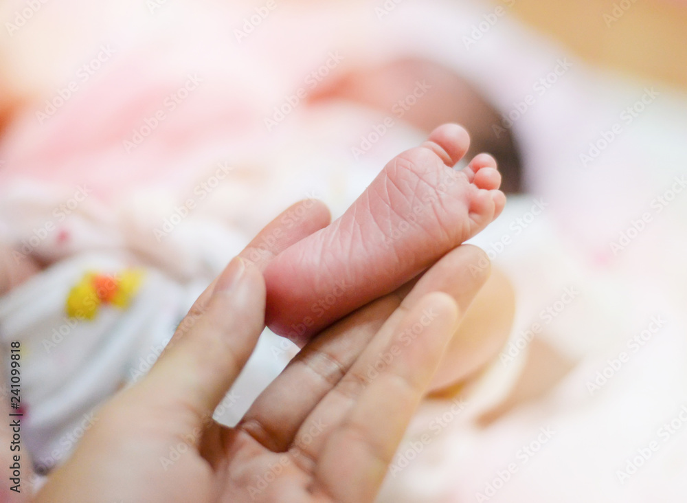 Baby feet / Newborn tiny baby feet in mother hand holding soft selective focus Baby feet / Newborn tiny baby feet in mother hand holding soft selective focus
