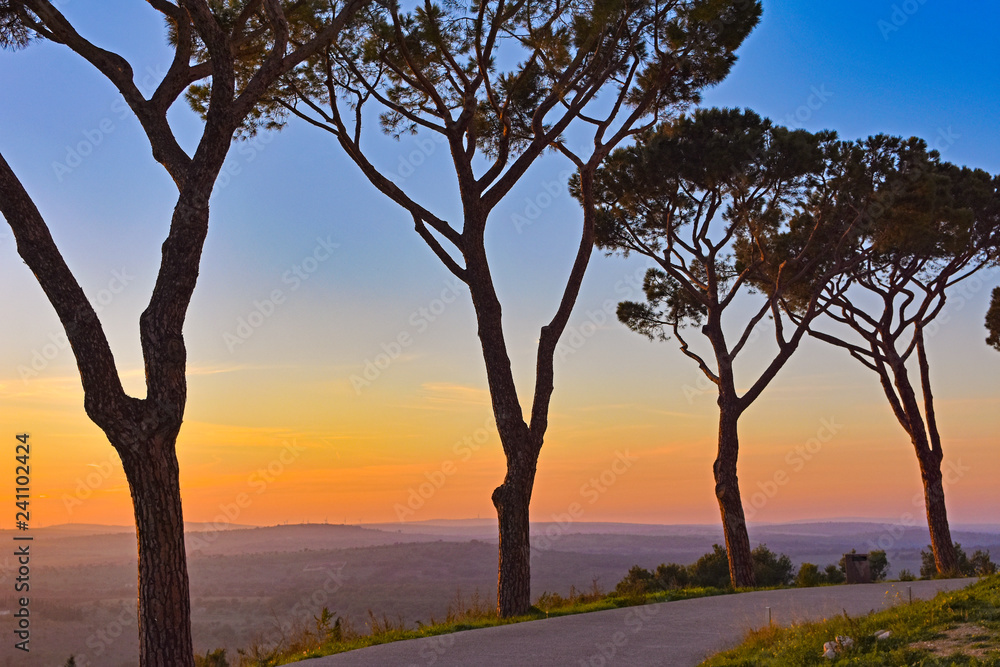Italy, Castel del Monte, surrounding nature sunset Italy, Castel del Monte, surrounding nature sunset
