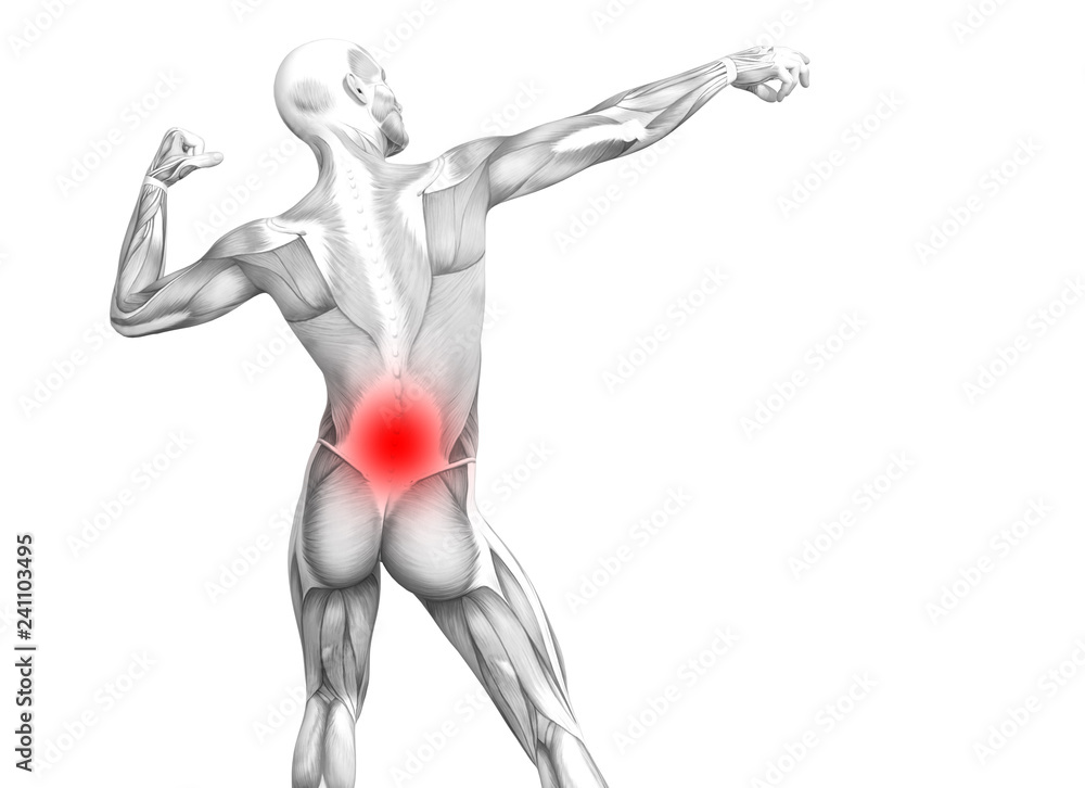 Conceptual back human anatomy with red hot spot inflammation articular joint pain or spine health care therapy or sport muscle concepts. 3D illustration man arthritis or bone sore osteoporosis disease Conceptual back human anatomy with red hot spot inflammation articular joint pain or spine health care therapy or sport muscle concepts. 3D illustration man arthritis or bone sore osteoporosis disease