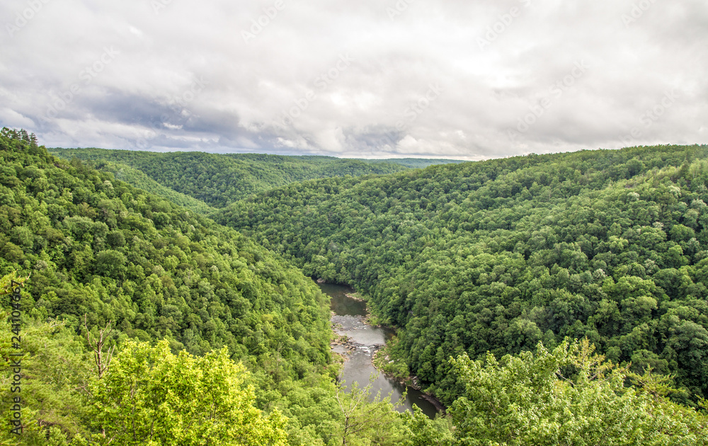 Obraz premium Big South Fork Recreation Area. Panoramic high angle view of the Big South Fork River flowing through the Appalachian Mountains of Kentucky and Tennessee.