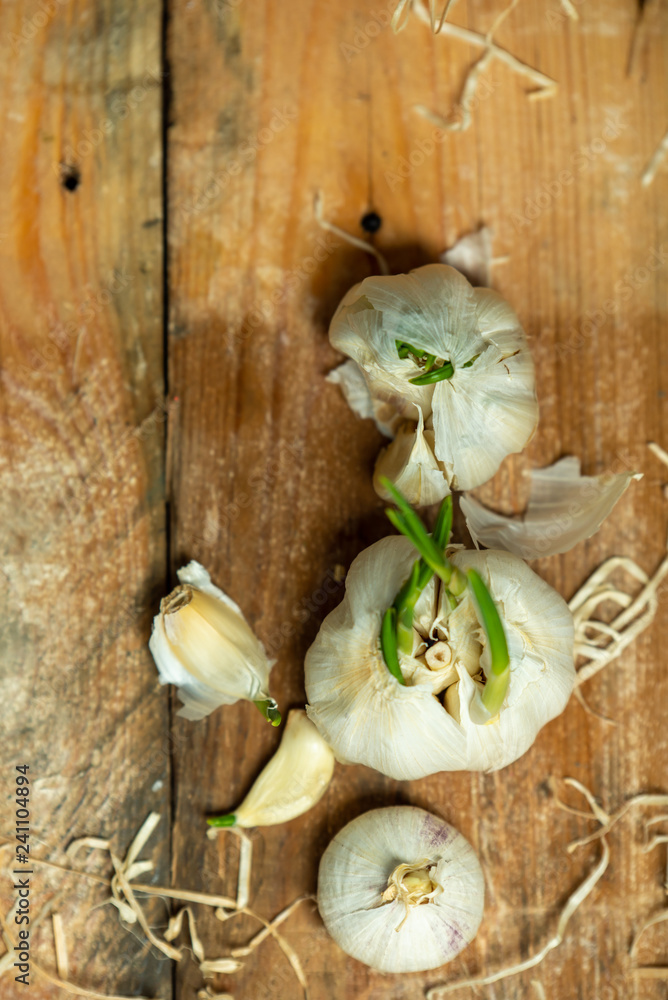 garlic heads letting green sprouts on a natural, wooden background garlic heads letting green sprouts on a natural, wooden background