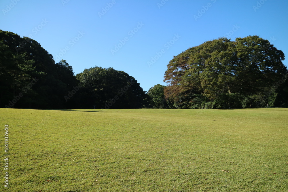 Obraz premium 芝生