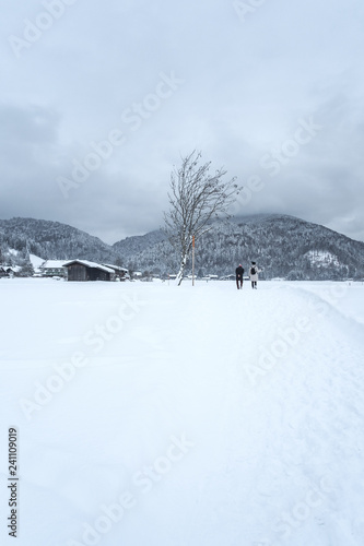 Bavarian Winter Hike