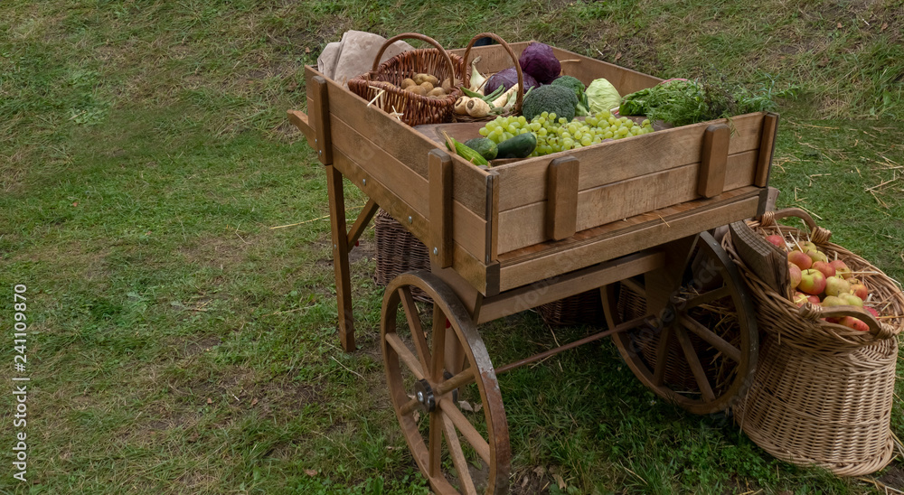 Fruits and vegetables in the cart. Cabbage, apples, zucchini, pears, carrots, beets, potatoes, parsley. Reconstruction of historical events The Kaiser-Otto-Fest