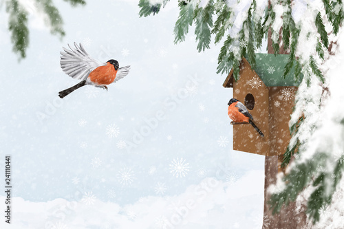 Canvas Print Cute little bullfinch birds and nesting box