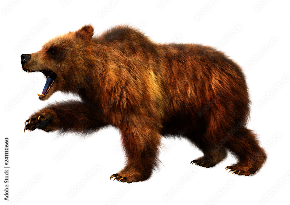3D Rendering Brown Bear on White 3D Rendering Brown Bear on White