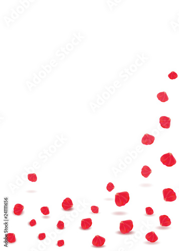 Falling rose petals. Valentines day greeting card design in 3d style on white background. Mother day gift banner for celebration decoration design. Vector illustration.
