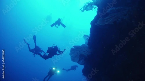 Wallpaper Mural Underwater scene - Scuba divers in dark blue water in Madagascar Torontodigital.ca
