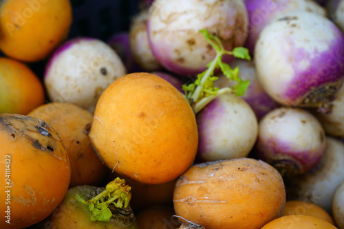 Colorful purple and orange turnip vegetable at a winter farmers market