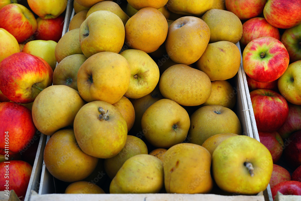 Fresh red and yellow apples at a farmers market Fresh red and yellow apples at a farmers market