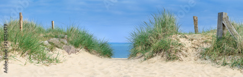 Fototapeta Naklejka Na Ścianę i Meble -  Dune by the sea, dune at the ocean with grasses and wood plows
