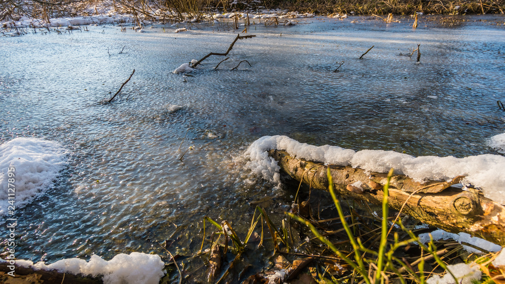 Winterlandschaft in Bad Waldsee Winterlandschaft in Bad Waldsee