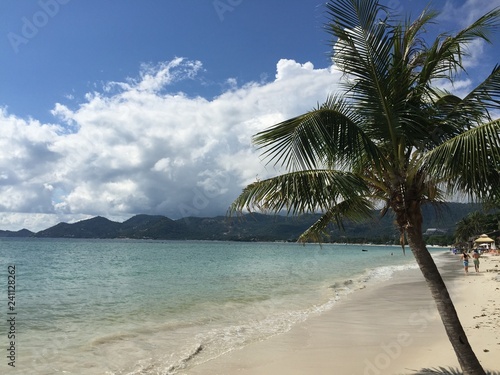 Fototapeta Naklejka Na Ścianę i Meble -  koh samui (chaweng beach) 