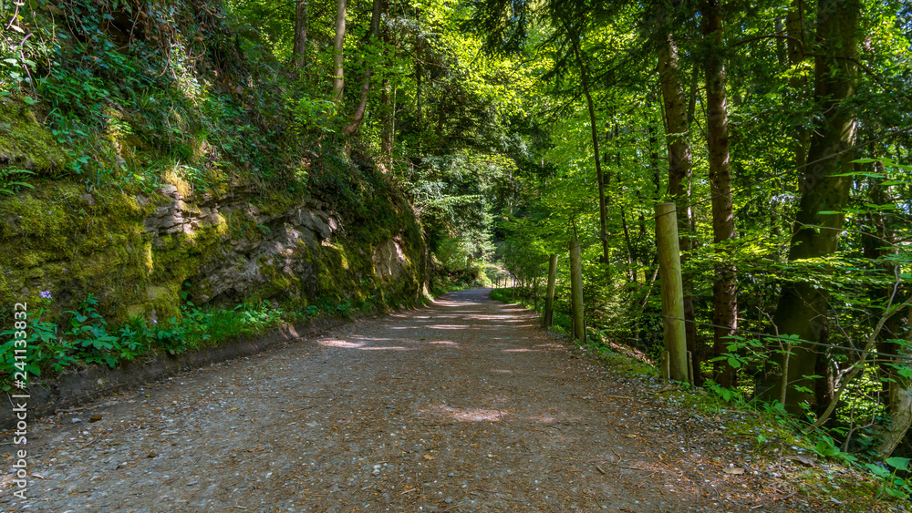 Fototapeta premium Klettern am Bodensee